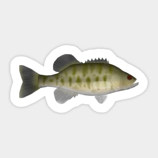 Shoal Bass Sticker